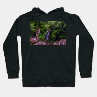 waterfall Hoodie